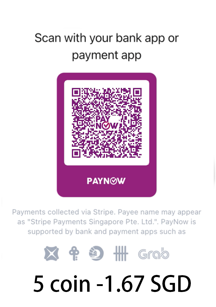 PayNow – Singapore（付费后提交工单-获取充值卡号）